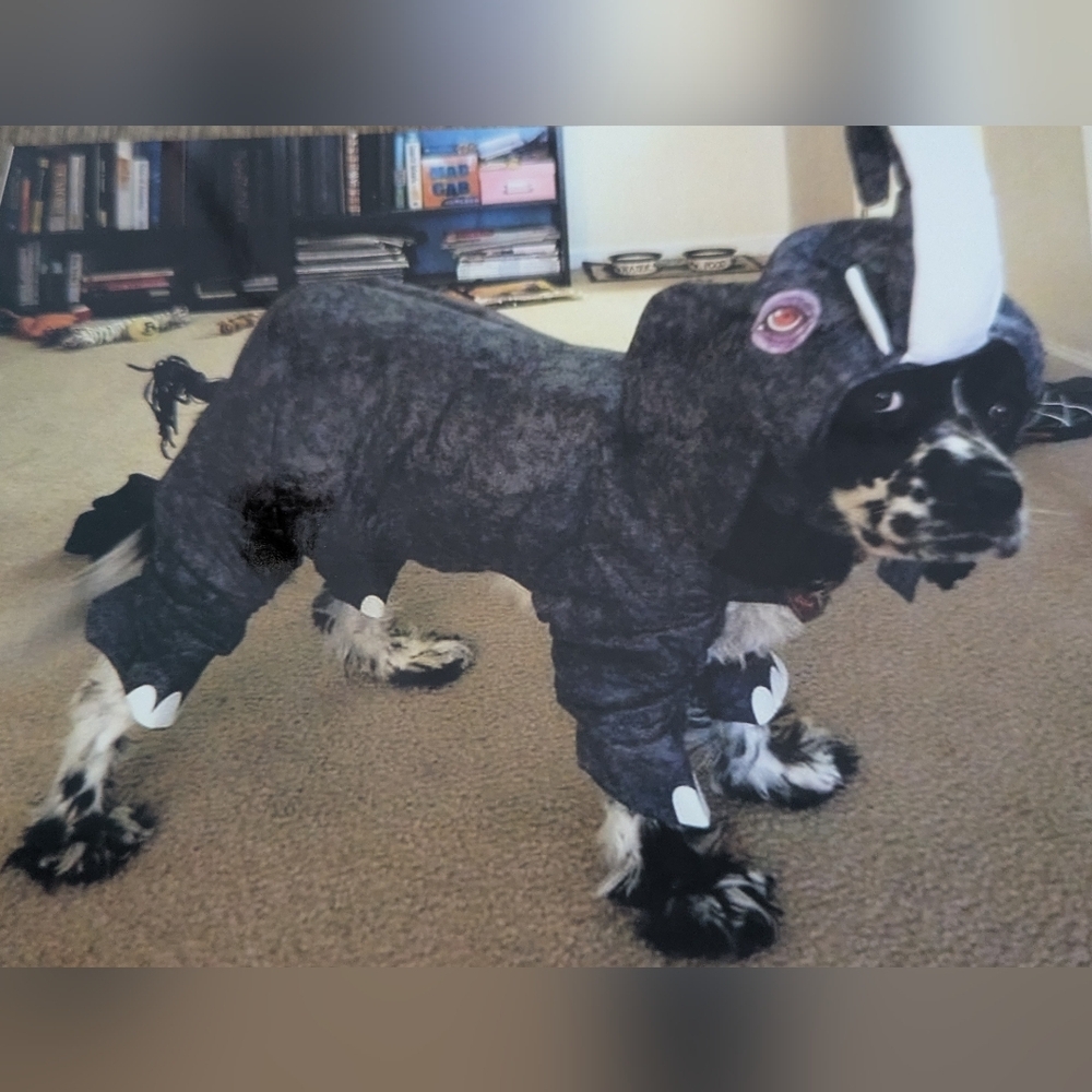Gray Dog Elephant Costume